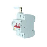 WDYK MCB 63A 2P Wi-Fi Smart Mini Circuit Breaker (63A, 1P+1N)