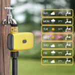3/4 collu ZigBee TUYA dārza laistīšanas kontrolieris - Image 5