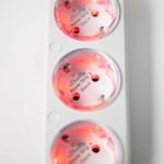 Shelly Power Strip 4 Gen4 – viedais pagarinātājs ar 4 rozetēm, jaudas mērītāju, Wi-Fi, Zigbee, Matter, balts - Image 3