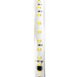 PSMART LED lente 24V WS2811 2835 MONOIC 3000K IP20 10mm 120LED/m 5m - Image 4