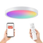 Viedā LED griestu lampa 30W+10W RGB+CCT WiFi TUYA