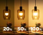 Viedā RGB+CCT E27 9W WiFi LED spuldze TUYA - Image 5