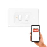 Ainas tālvadības pults 2 kanāli, 6 programmas (LR sērija) ZigBee 3.0 TUYA