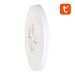 Viedā griestu lampa 30cm WiFi/Bluetooth 16M RGBCW Gosund LB12 1920lm Tuya + tālvadības pults - Image 5