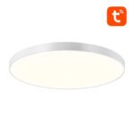 Viedā griestu lampa 30cm Bluetooth 16M RGBCW Gosund LB13 1600lm Tuya + tālvadības pults - Image 4
