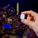 Shelly The Pill Gen3 daudzfunkcionāls ievades modulis ar Wi‑Fi un Bluetooth, balts (S3SN-0U53X) - Image 5