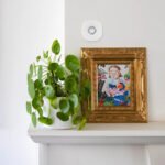 frient Air Quality Sensor AQSZB-110 – Zigbee gaisa kvalitātes, temperatūras un mitruma sensors - Image 5