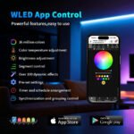 Gledopto AeX2gis GL-C-116WL-RF divkanālu WLED kontrolieris digitālajām LED lentēm, Wi‑Fi un RF - Image 5